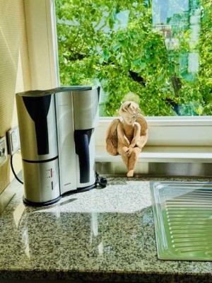 * * * Geschmackvoll möblierte Wohnung mit Dachterrasse * * *