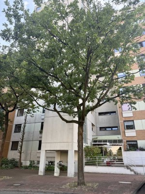 Gemütliche Wohnung mit Wellnessbereich