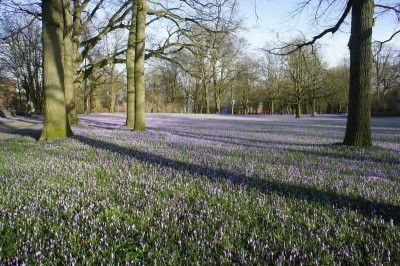 Moderne Eigentumswohnung mit Garten in zentraler Lage von Husum