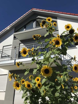 Modern & stylisch: Loft mit viel Licht im Zentrum von Dießen