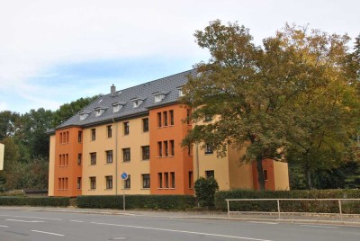 3 Raum Wohnung in Werdau Süd