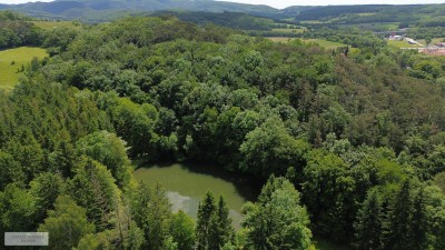 PRIVATE RETREAT NUR 30 MINUTEN VON DER OPER /// MIT EIGENEM PARK, WALD UND BADESEE
