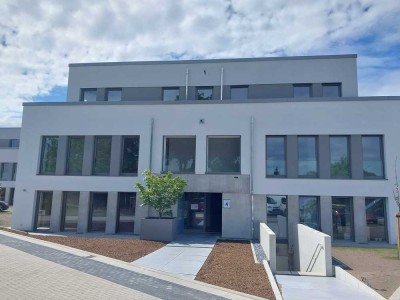 Moderne 2-Zimmer-Wohnung im Erdgeschoss mit großer Terasse