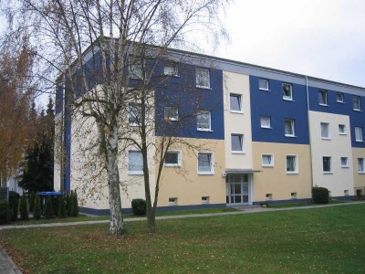 3-Zimmerwohnung in Westercelle