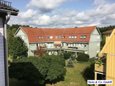BESICHTIGUNG 18.06.25 um 15 UHR - geräumige Wohnung mit grünen Umfeld sucht neuen Mieter