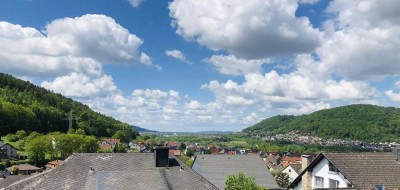 Über den Dächern von Höchst - Skyline-Blick bis nach Frankfurt am Main