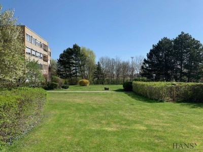 BADEN BEI WIEN: 4-Zimmer Wohnung (bezugsfertig!) mit Loggia und Garage in einer Grünruhelage Badens