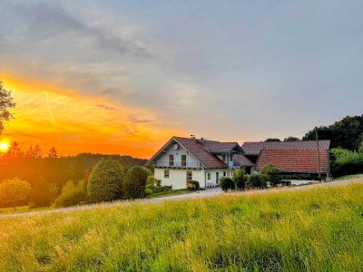 Großzügiges Landhaus-Anwesen mit Scheune, Dreifach-Garage und über 40.000 m² Grundstück