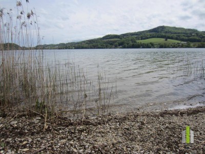 Neuwertige 2-Zimmer-Wohnung mit traumhaftem Seeblick &amp; Seezugang in Seeham