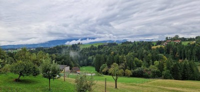 Landwirtschaft mit Haus, Maisonettewohnung, Nebengebäuden, 13ha Grund und Wald auf Leibrente in GU