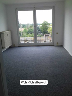 Geräumige Wohnung mit einem Zimmer in Lentzke