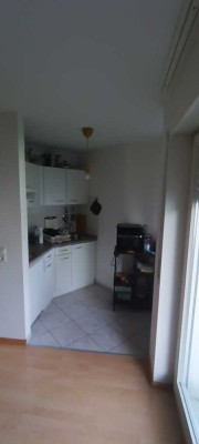 500.0 € - 33.0 m² - 1.0 Zi.