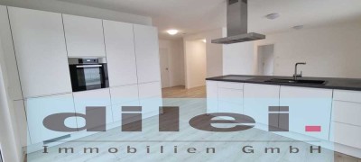 **Mönsheim, Exklusive 3,5-Zi.-Penthouse-Wohnung mit gr. Dachterrasse im Mitteltal am Grenzbach **