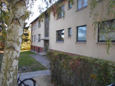 Helle Souterrainwohnung