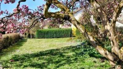 Ein Traum für kleine Abenteurer: Kinderparadies in bester Familienlage!