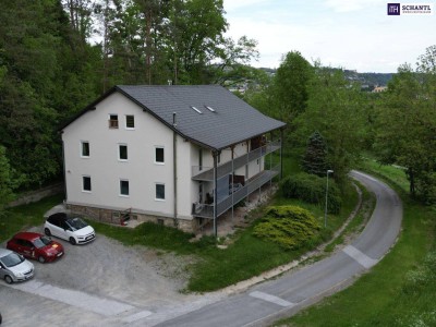 VERMIETET - MEGA RENDITE! TOLLE RENOVIERTE 2-ZIMMER-WOHNUNG! GROSSZÜGIGES WOHN/SCHLAFZIMMER IN WEST-AUSRICHTUNG! ENTZÜCKENDES WOHNHAUS MITTEN IM GRÜNEN!