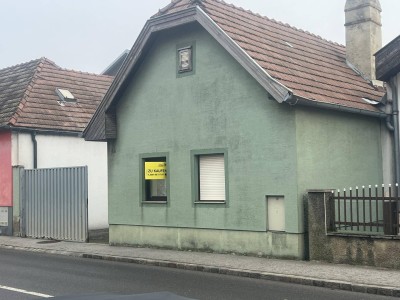 Gepflegtes Einfamilienhaus mit Garten