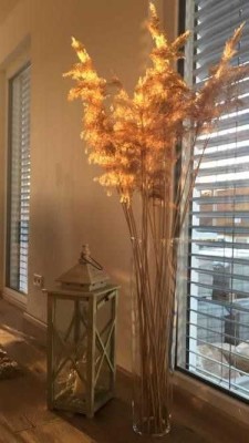 Bien-Zenker EDITION 125  Ihr individuelles Familienhaus in Wertheim