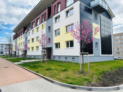 All-Inclusive 5-Raum-Wohnung mit Balkon