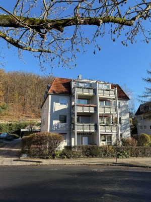 Den Wald hinterm Haus - Dresden vor der Tür: Lichtdurchflutete 3-Zi.-Wohnung mit Terrasse in Freital