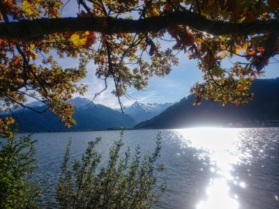 5 Gehminuten vom Zeller See entfernt wartet diese Wohntraum auf sie...