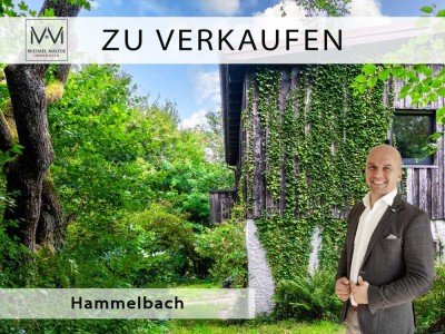 Idyllisches Einfamilienhaus in Hammelbach – Ihr Rückzugsort im Herzen des Odenwalds