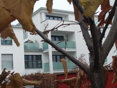 GANZ OBEN ! Großzügige 3-Zimmer-Wohnung im SONNENGARTEN THON !