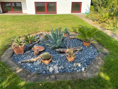 Sanierte 2-Raum-EG-Wohnung  und Einbauküche in Biberach an der Riß