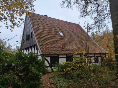 Waldkotten auf einer Halbinsel am See 1 km vor Warendorf