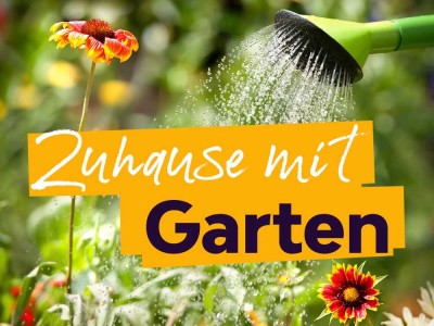 +++ Mit wenig Stufen ins neue Wohnglück +++