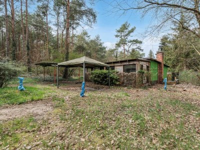 Top Angebot in Wernsdorf-Königs Wusterhausen - Wochenendbungalow im idyllischen Waldgebiet