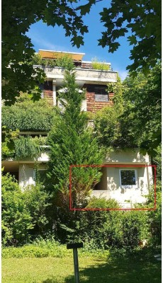 Single-Appartement Tübingen, 36 qm, 1,5 Zimmer, KFZ-Stellplatz, Balkon, 900€