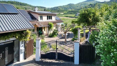 Ehemaliger Winzerhof in traumhafter Randlage umgeben von Weinbergen