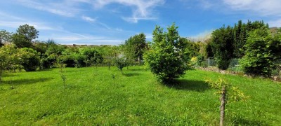 Exklusives Smart-Home-Einfamilienhaus mit Aufzug und ausbaufähiger ELW in Ormesheim