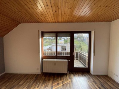 Schöne zentr. 1,5 Zi Whg mit Süd-Balkon, EBK, großen Keller u. Stellplatz in schöner Lage