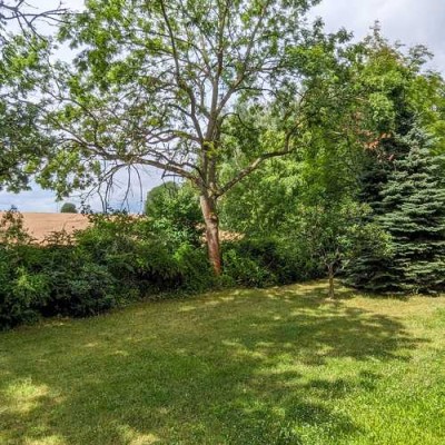 Wohnung mit Wohnberechtigungsschein