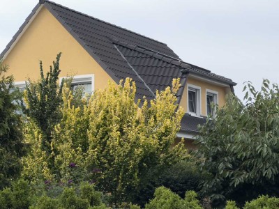 POTSDAM BORNIM - Dein neues zu Hause für Dich & Deine Familie