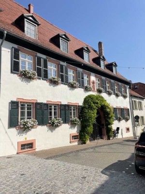 WOHNEN IM HISTORISCHEN AMBIENTE - AUF ÜBER 700 QM WOHNEN UND ARBEITEN - DIE DOMÄNE DER VIELEN MÖGLIC