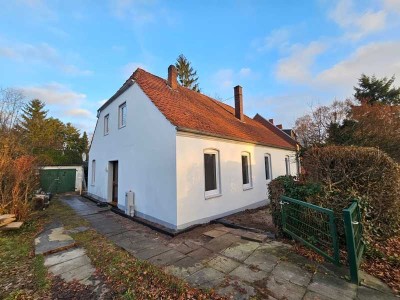 Ebenerdig und komplett renoviert, hier kann man sich wohlfühlen - 5 ZKB mit Garten