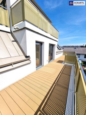 Die Gelegenheit! Riesenterrasse zum Zwergenpreis! 4 Zimmer + Luftwärmepumpe + Grünblick + Komplett hofseitig + Riesige Terrasse + TOP Neubau + Tiefgarage im Haus + Perfekte Raumaufteilung!