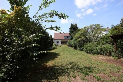 POTENZIAL in TRAUTHEIM ....