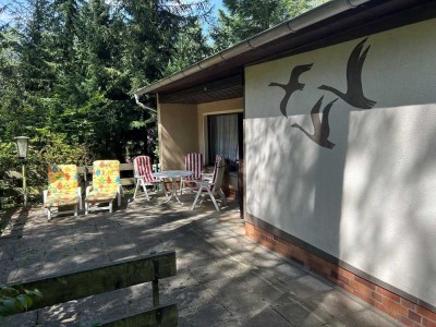 Mitten im Wald massiver Bungalow in der Dahlener Heide