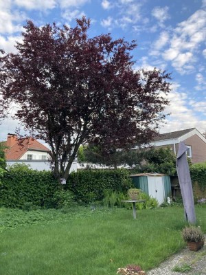 Freundliche 4-Zimmer-EG-Wohnung mit Terrasse in Coesfeld
