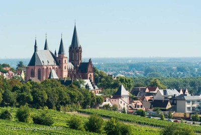 Exklusive Eigentumswohnung mit Garage u. unverbautem Blick auf die Altstadtsilhouette von Oppenheim