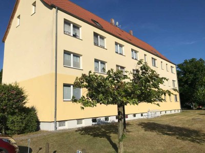 Ihr neues Zuhause in Zirchow auf Usedom - Urlaub das ganze Jahr!