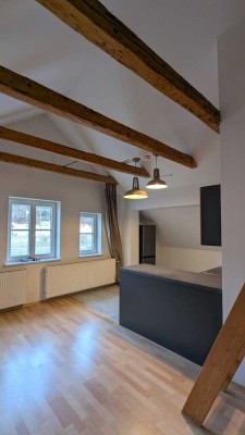 Zentrale 2 Zimmer DG im Altbau mit Empore und Donaublick