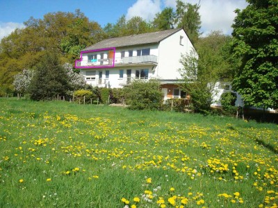 Attraktive 2-Zimmer-Wohnung mit Südbalkon in Simmern