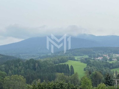 Gepfl. möbli. Ferienappartement mit großem Balkon und Carport zwischen Osser und großen Arber