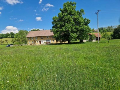 Träume können wahr werden!
Hofstelle in ruhiger, sonniger Alleinlage
zwischen Isny und Wangen