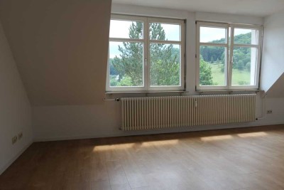 Helle 3 Zi-Loft-Wohnung, Münsingen, Teilort Buttenhausen